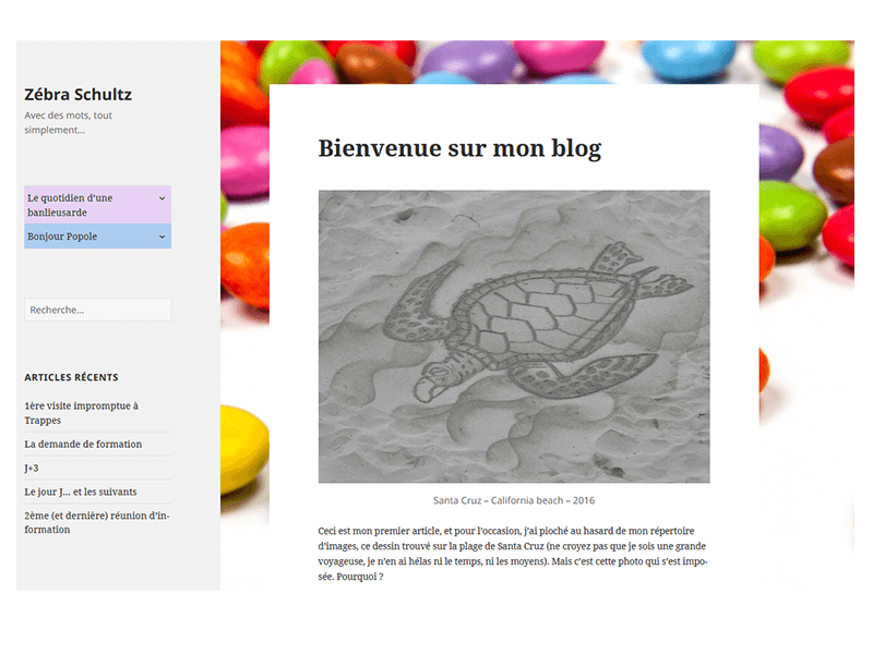 Page d'accueil du blog de Zébra Schultz