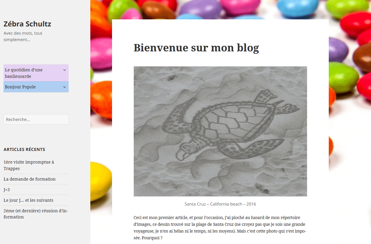 Page d'accueil du blog de Zébra Schultz