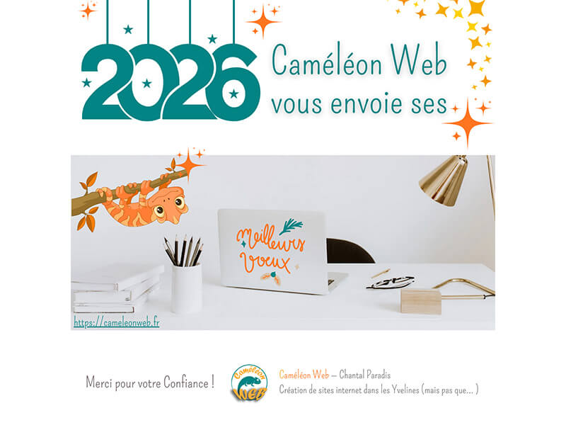 Carte de bonne année 2026