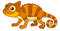 petit-cameleon
